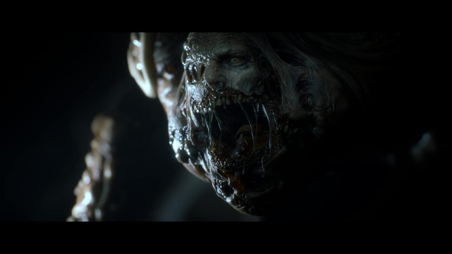 51NbYzPofLL._AC_SL1500_